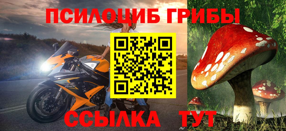 Лянтор  Псилоцибиновые грибы MAGIC MUSHROOMS  Вход с VPN 